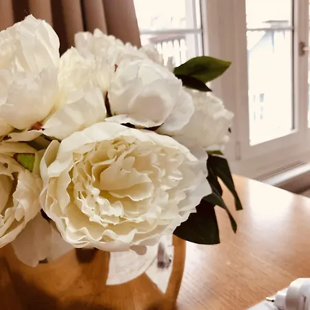 Niederdorf - Grossmuenster Lejlighed *