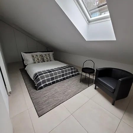 Apartment Niederdorf - Grossmunster