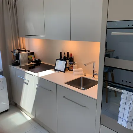Niederdorf - Grossmunster Apartment Zurich
