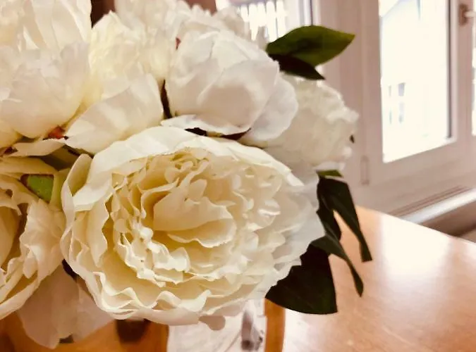 Апартаменти Niederdorf - Grossmuenster