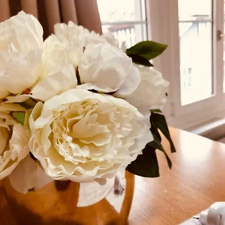 דירה Niederdorf - Grossmuenster